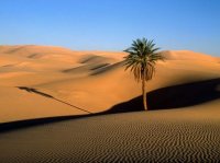 Тунис. Экскурсии. Сахара.